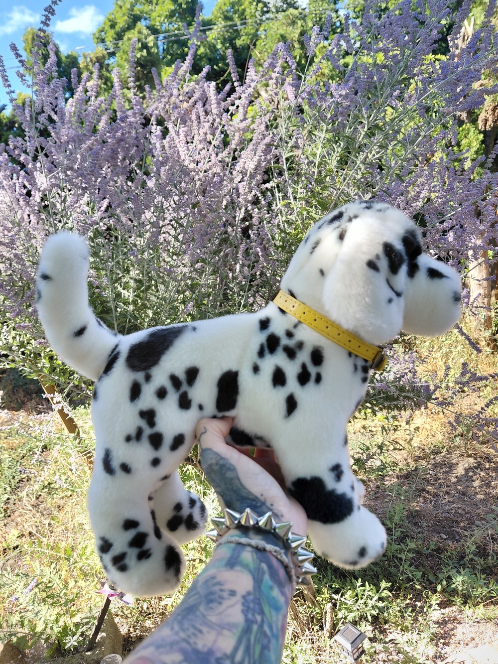 Plush Dalmatian Dog Douglas With Tags